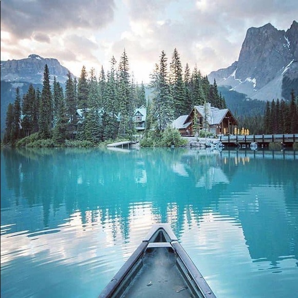 Meet your Posher, Joey - Picture 1 of 1